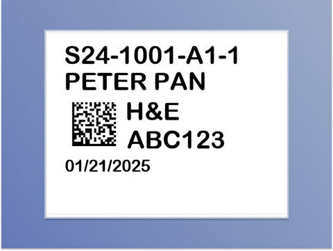 Microscope slide H1